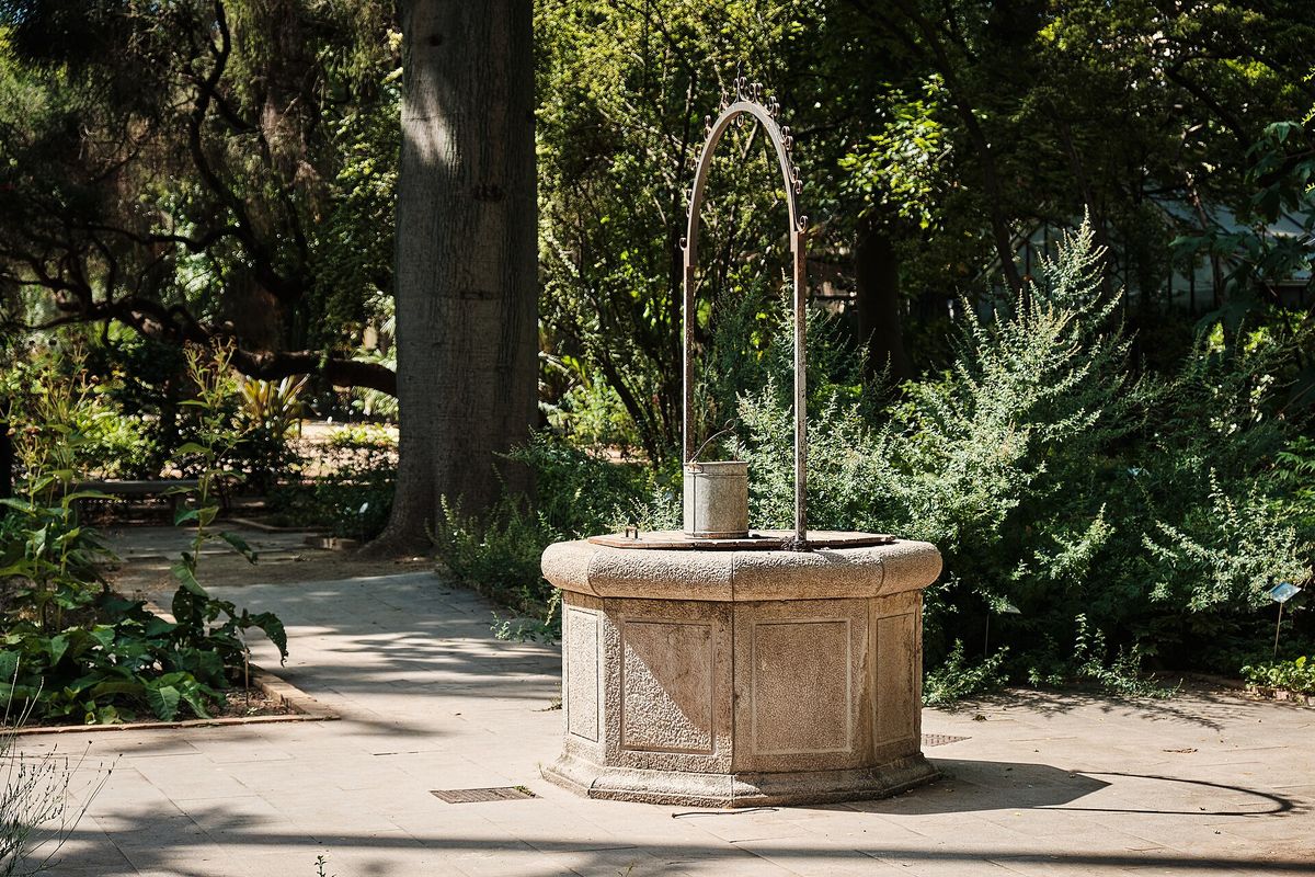 Jardín Botánico, Valencia