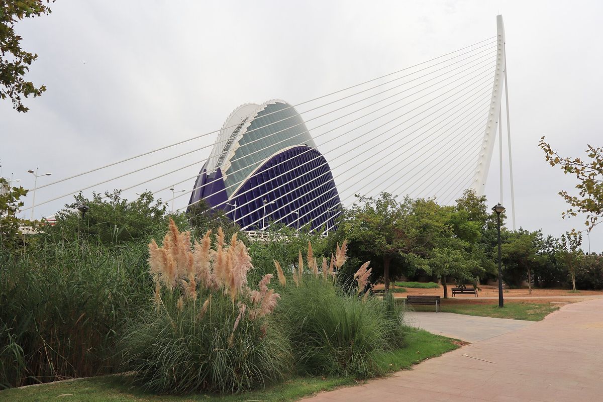 Jardín del Turia y l'Àgora, Valencia